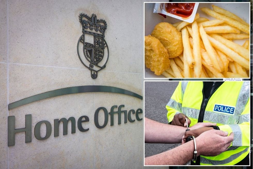 Migrant crisis: Albanian criminal allowed to stay in Britain due to son's  dislike of 'foreign' chicken nuggets
