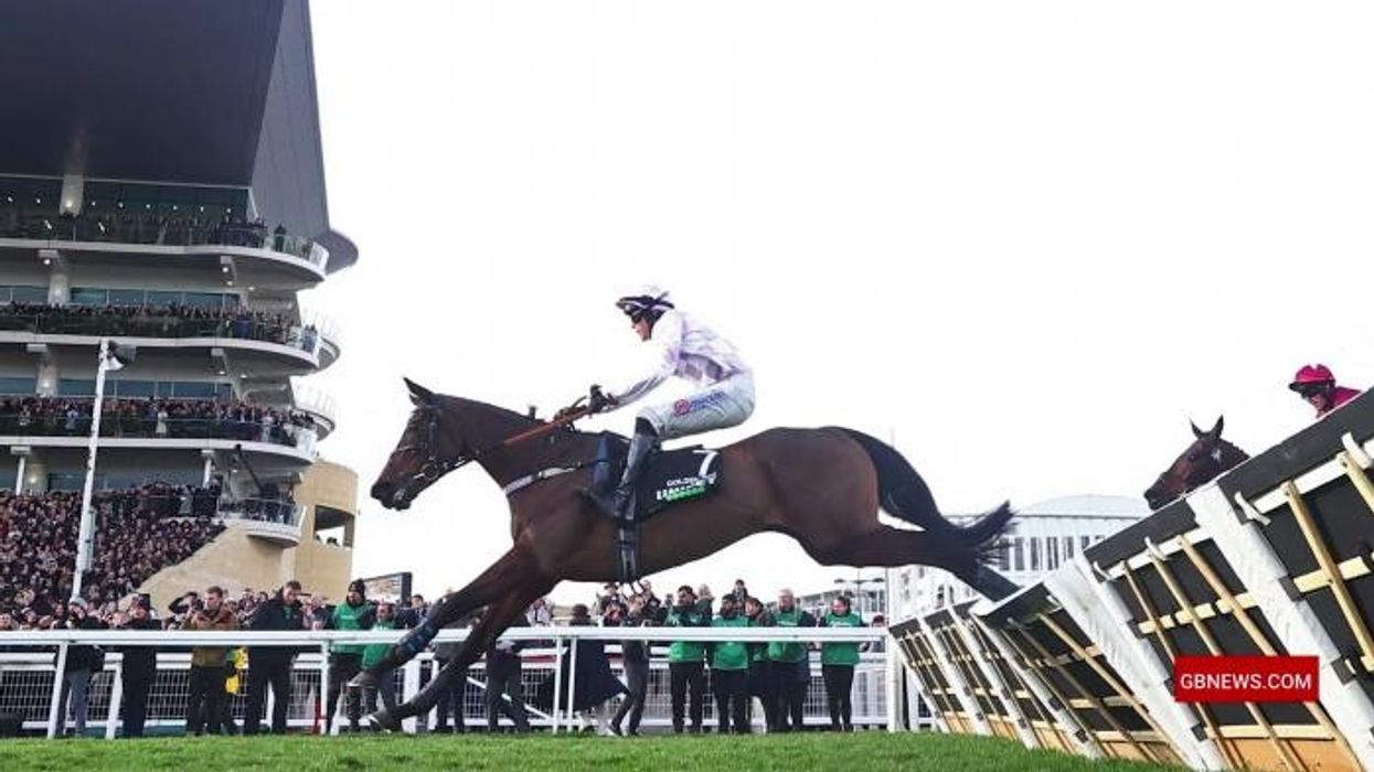 ‘Caught me by surprise!’ Mark White and Stephen Dixon in hysterics at Jack Carson’s Cheltenham Festival outfit