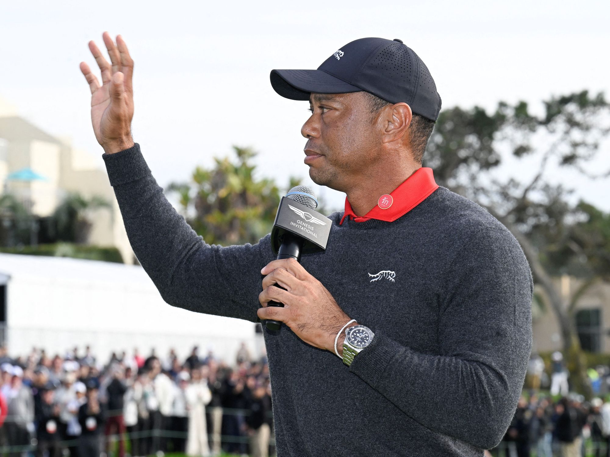 Rory McIlroy makes Tiger Woods prediction after golf icon's latest injury torment - 'I know'