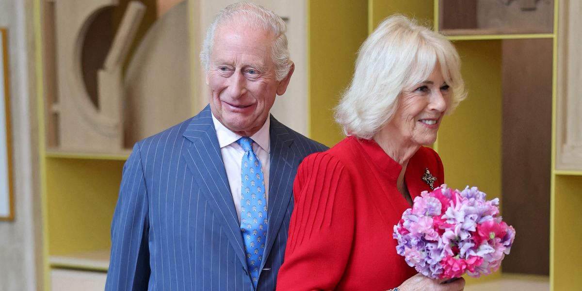 NextImg:King Charles and Queen Camilla unveil major project to mark Royal Family milestone