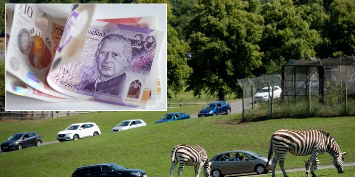 Fraudster spent Covid loan on safari park instead of business during pandemic Fraudster spent Covid loan on safari park instead of business during pandemic