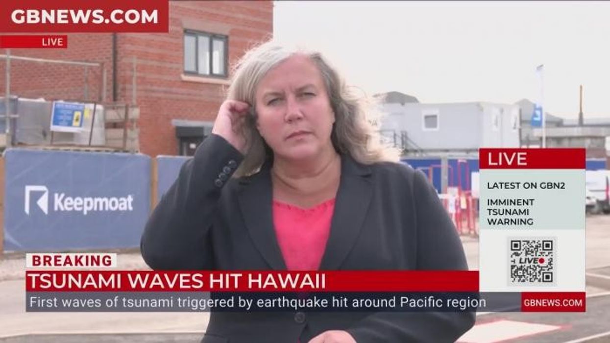 Labour 'needed to act' on recognising Palestine, says Heidi Alexander