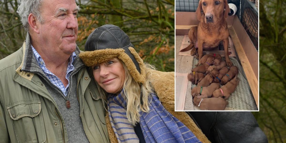Jeremy Clarkson's girlfriend Lisa Hogan issues moving update after pet dog's death amid 'devastating' farm setbacks