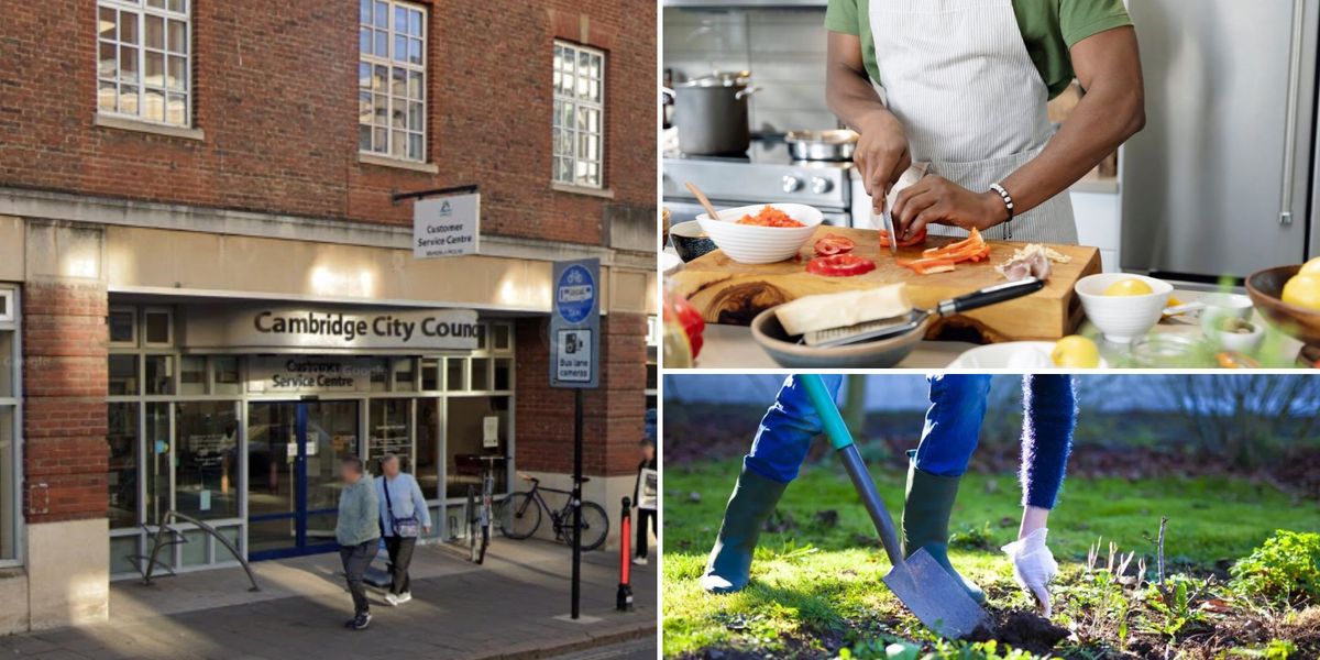 NextImg:From gardening to 'joyful' cooking lessons, inside 'Woke' council's £30k cash giveaway to asylum seekers