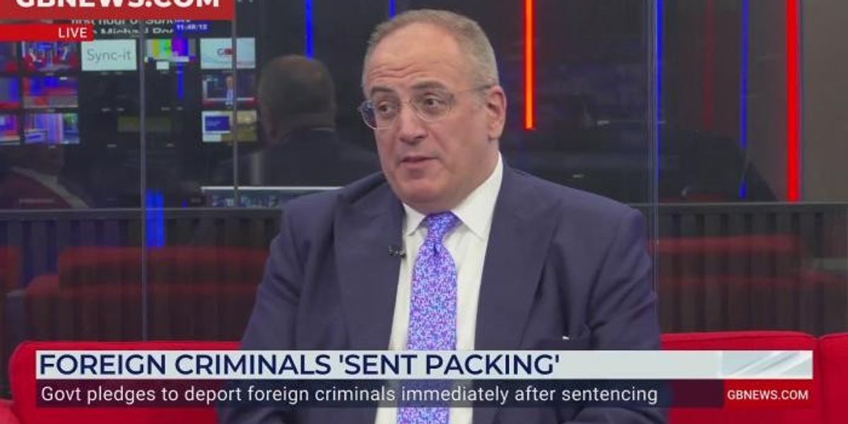 NextImg:Deportation of foreign criminals may be branded 'unfair' by human rights lawyers, Ellis says