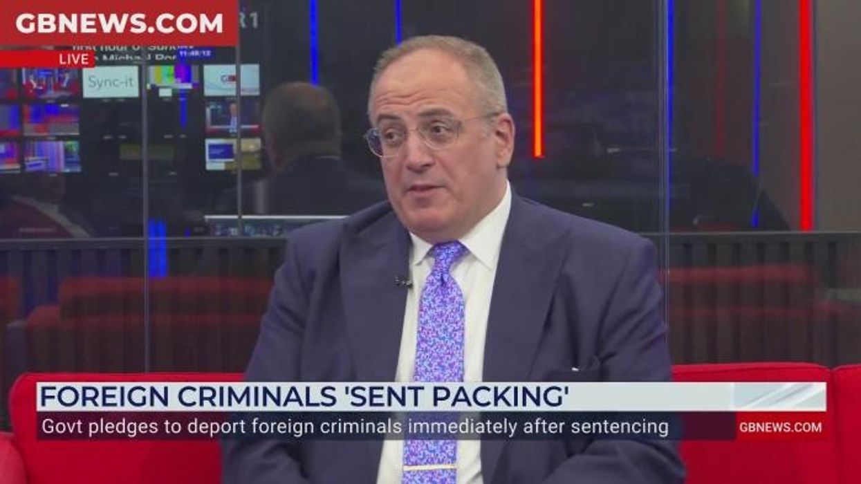 Deportation of foreign criminals may be branded 'unfair' by human rights lawyers, Ellis says