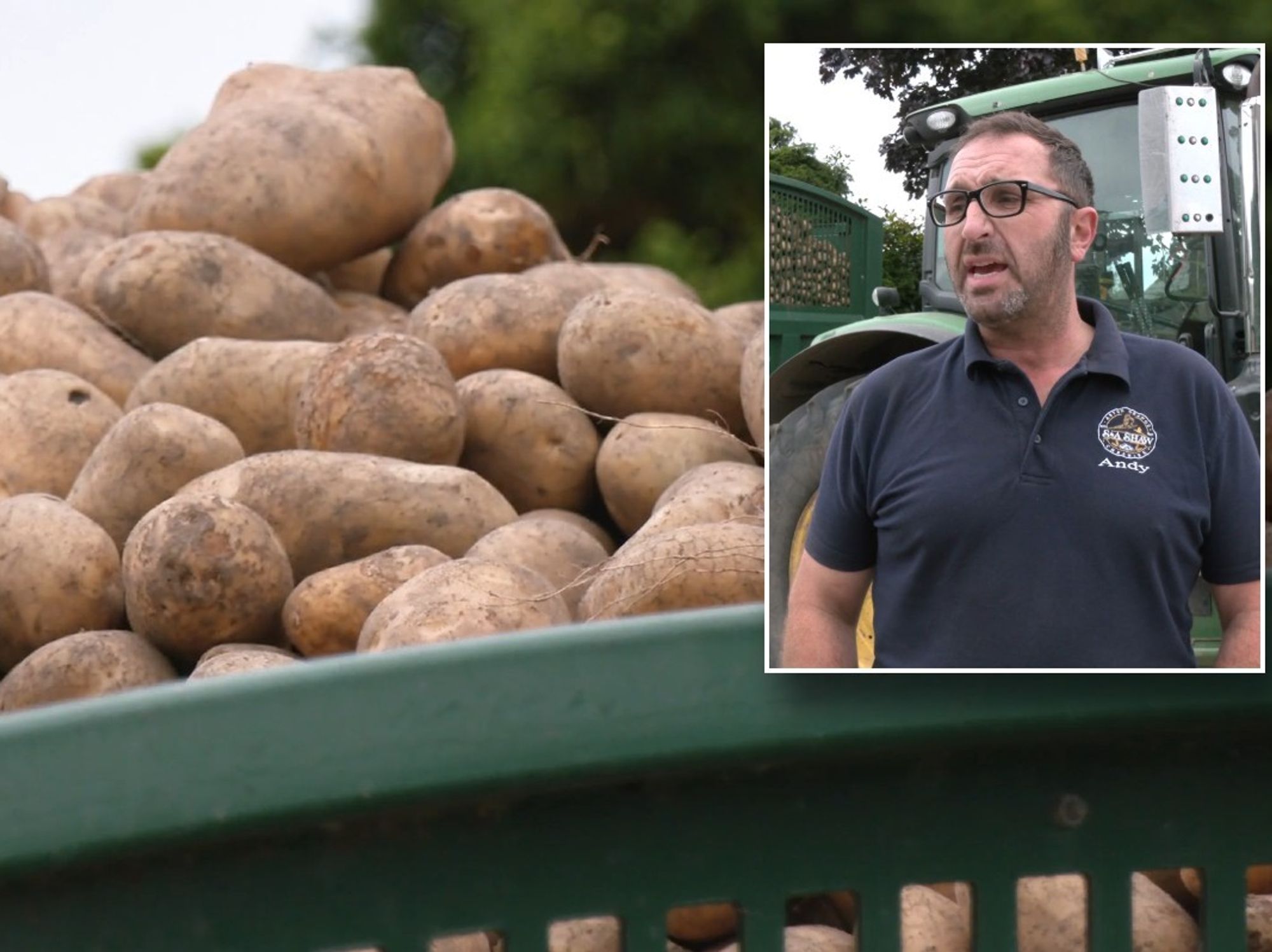 British farmer warns Labour taking industry 'for granted' as crops face horror year