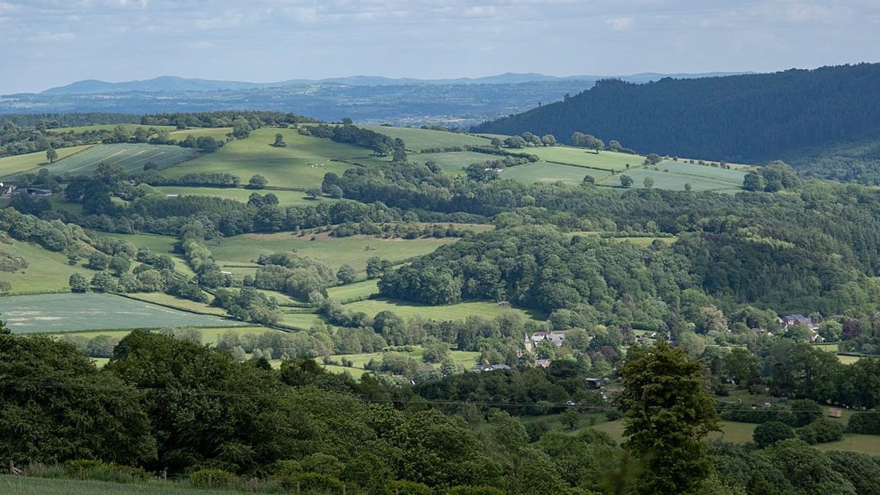 England's most patriotic society hits back at 'self-appointed activists' who branded countryside 'too white'