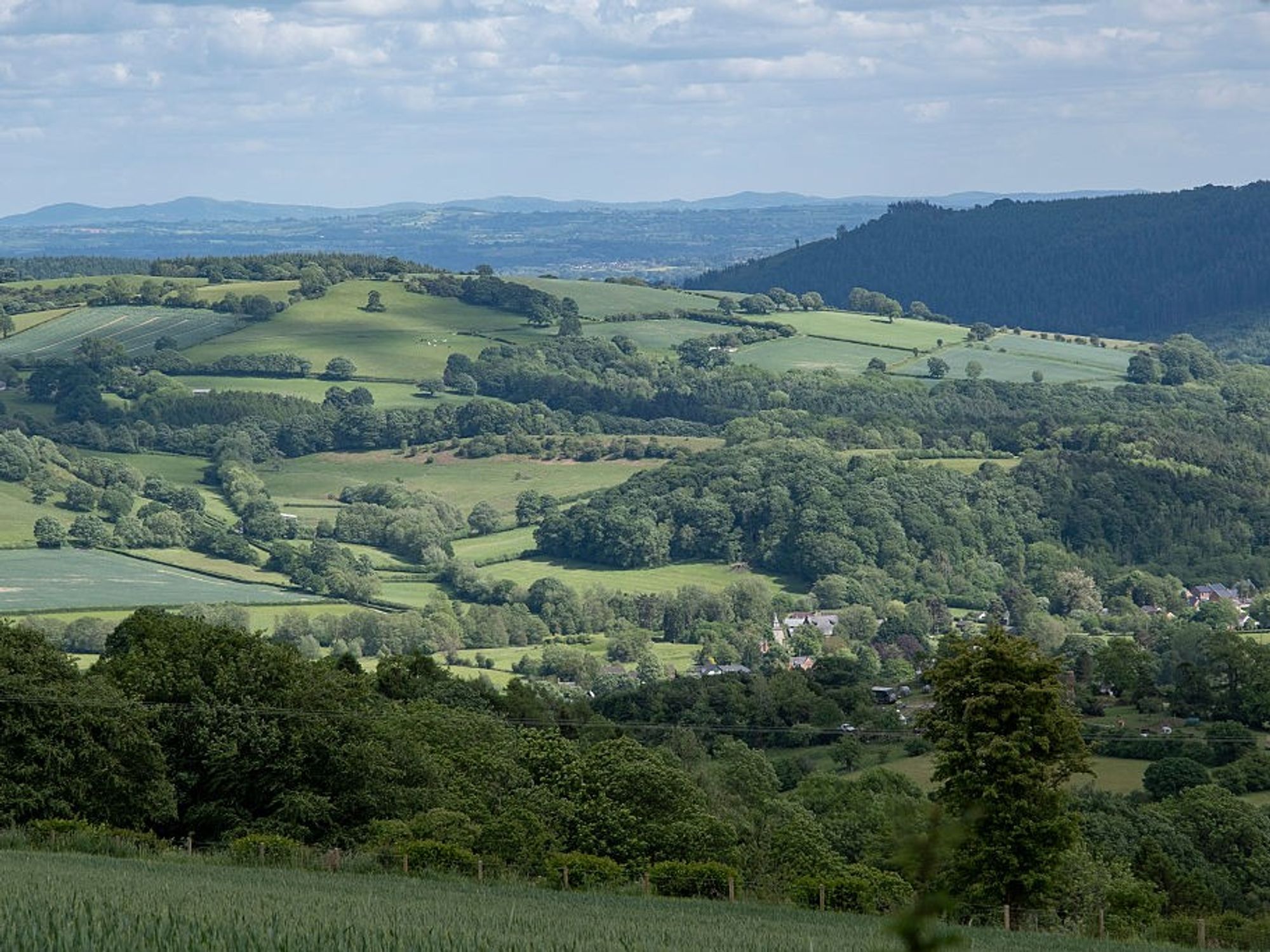 England's most patriotic society hits back at 'self-appointed activists' who branded countryside ...
