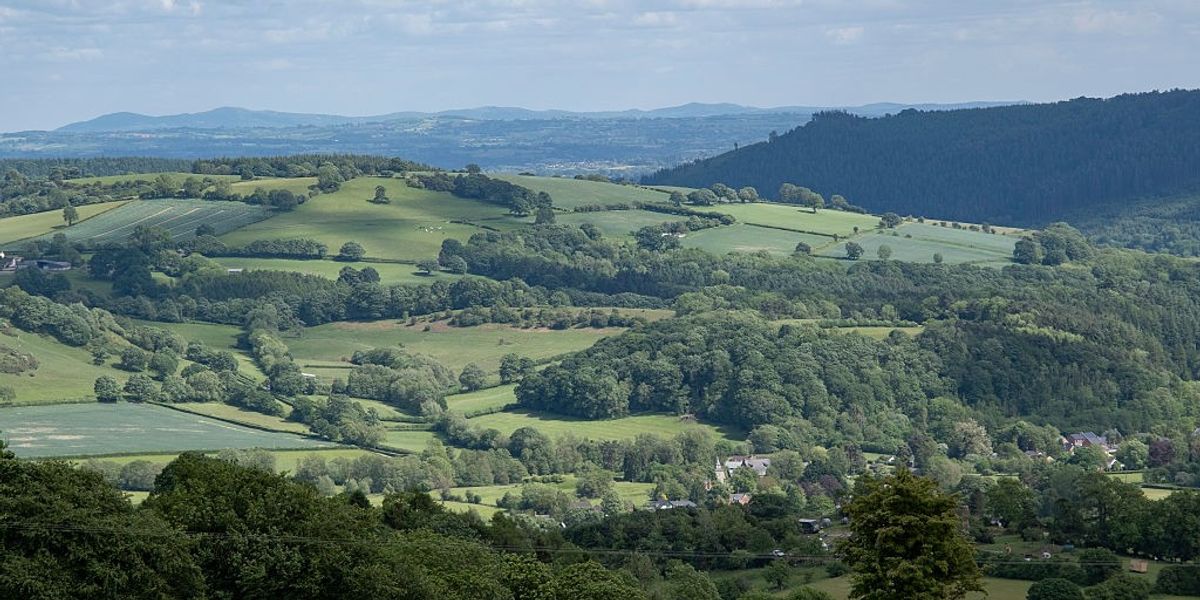 NextImg:England's most patriotic society hits back at 'self-appointed activists' who branded countryside 'too white'