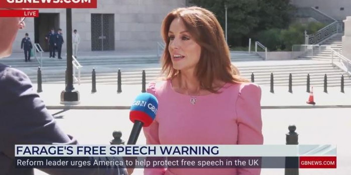 NextImg:WATCH: Bev Turner delivers verdict on Nigel Farage's US Congress hearing