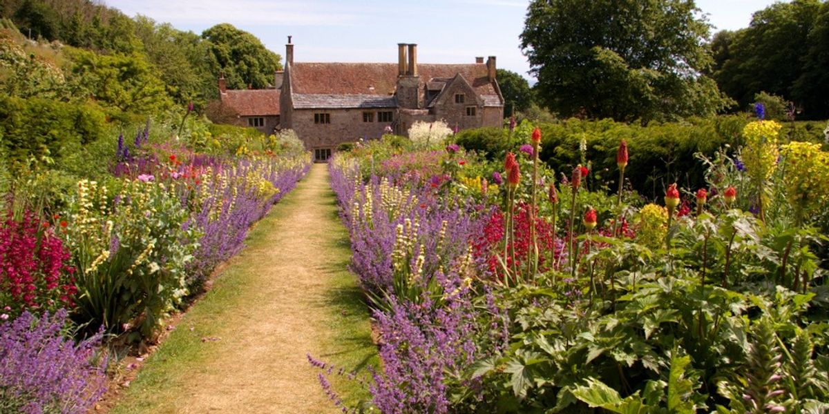 NextImg:National Trust gardeners 'forced out' after refusing to align with 'inclusive culture'