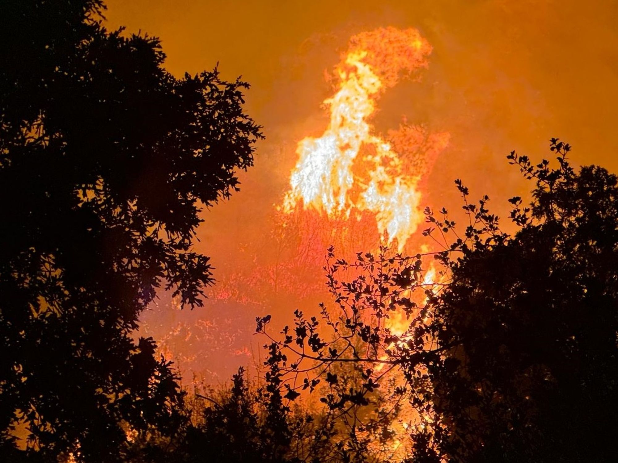 Devastating fire rips through holiday hotspot with tourists forced to evacuate hotels