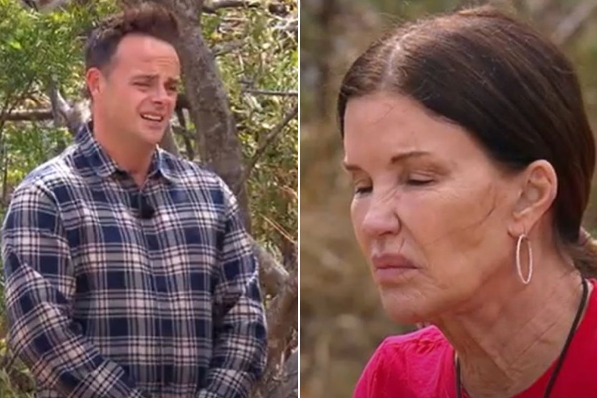 ITV set to be 'sued' by I'm A Celebrity contestant Janice Dickinson following horror injury