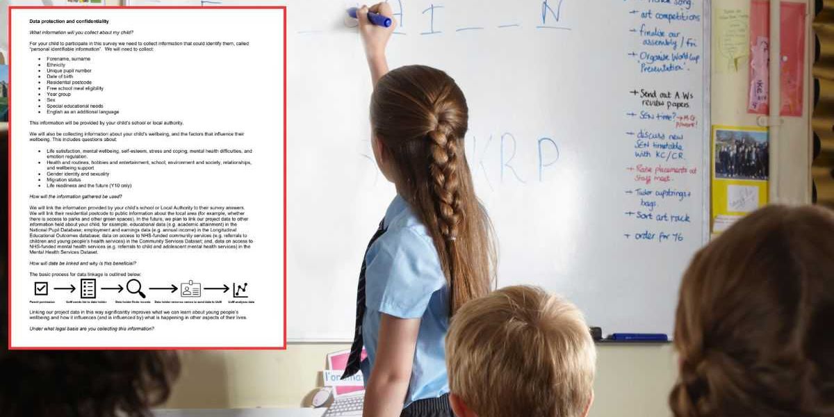 Portsmouth parents slam shocking study as 11-year-olds asked about gender and sexuality Portsmouth parents slam shocking study as 11-year-olds asked about gender and sexuality