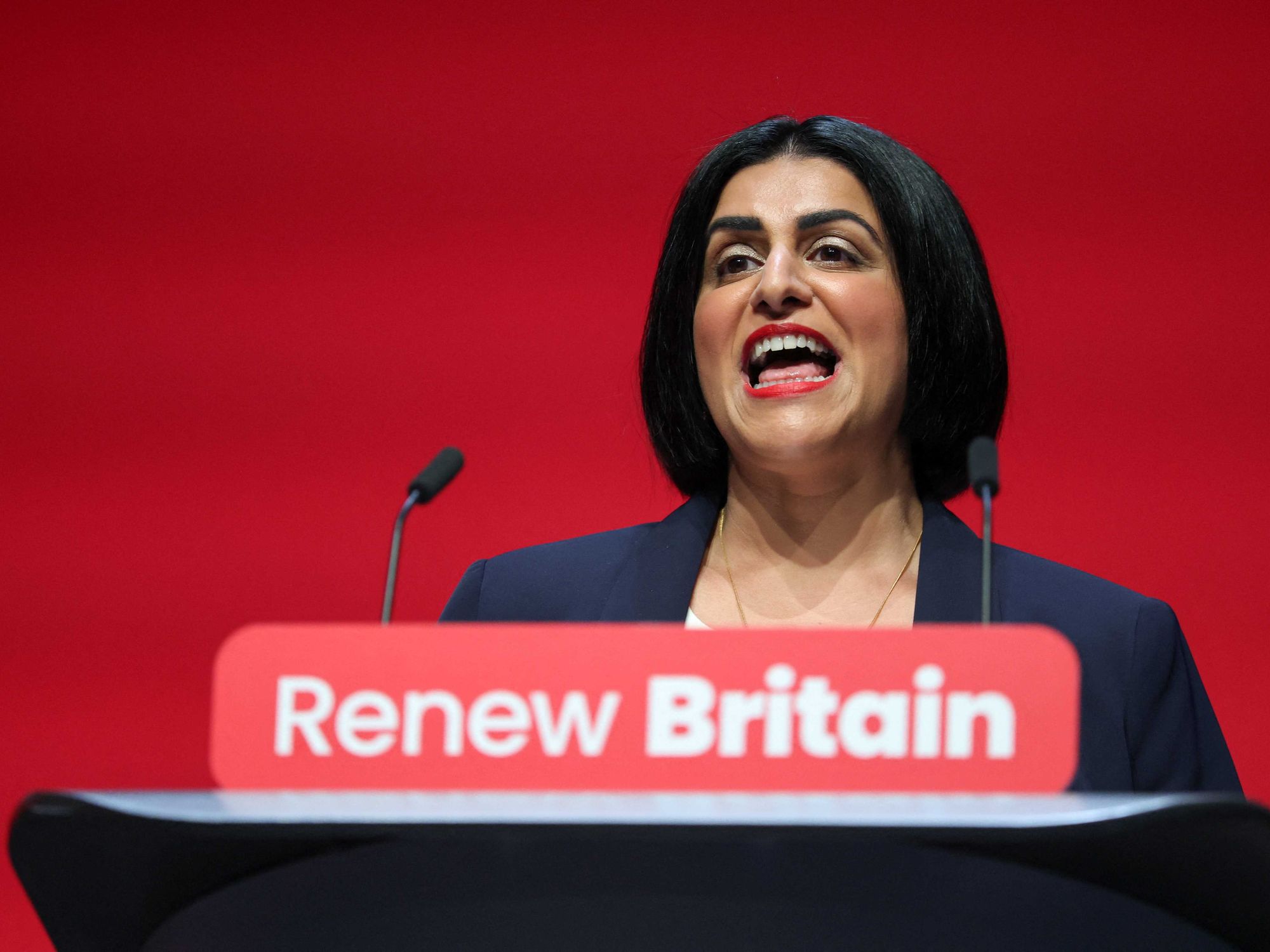 'I will do whatever it takes to secure our borders!' Shabana Mahmood outlines requirements for mi...