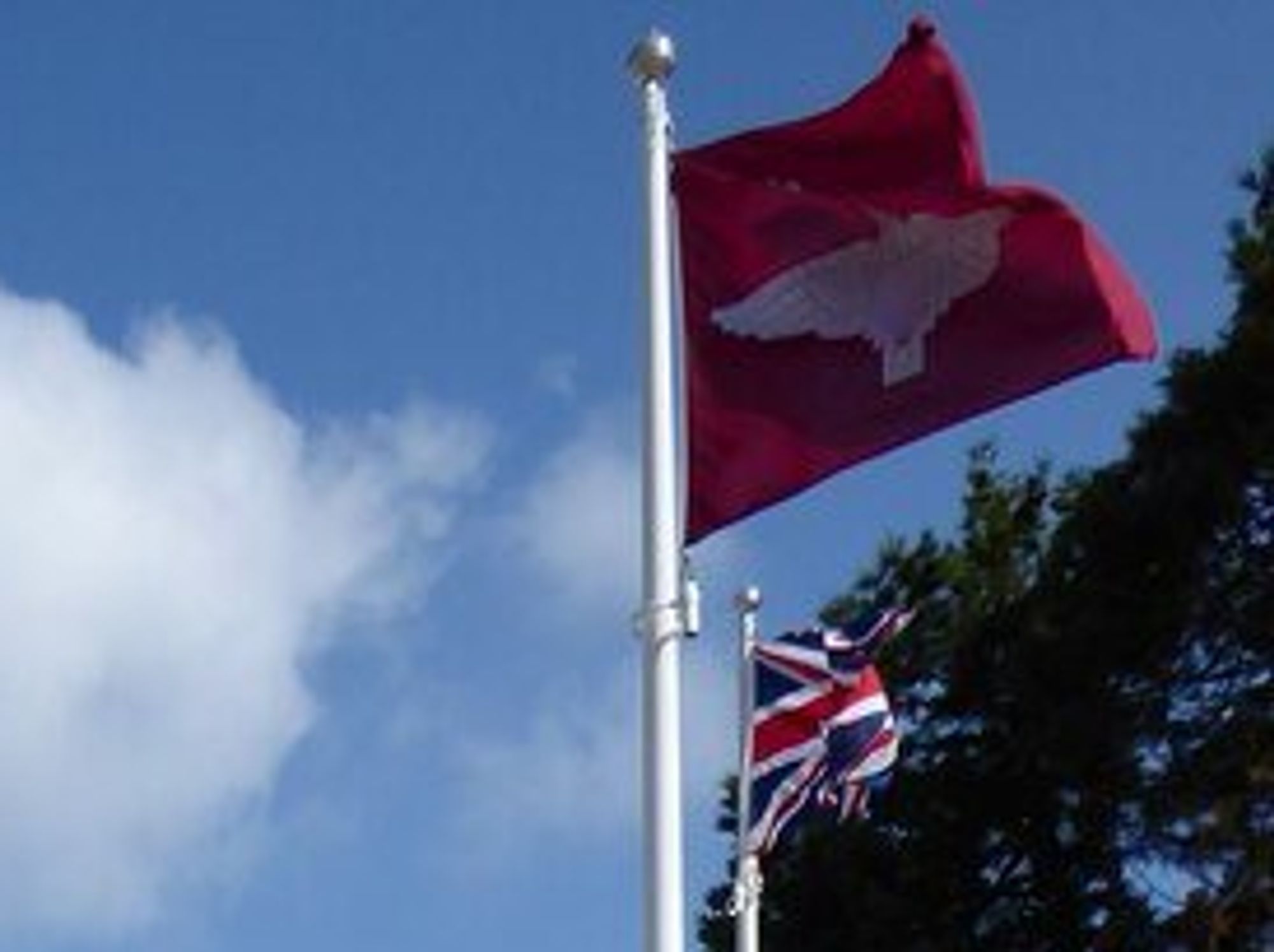 Council breached its own equality rules in flag row, watchdog finds