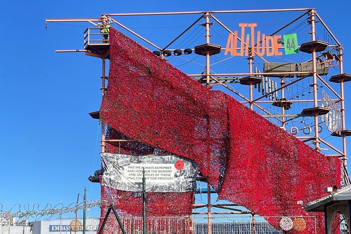 Remembrance display of 84,000 poppies will attempt to set world record: 'It is truly spectacular!'