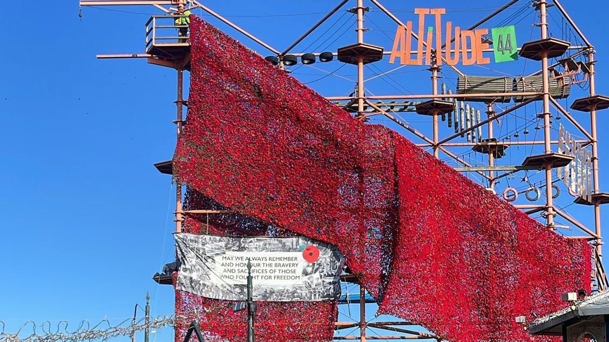 Remembrance display of 84,000 poppies will attempt to set world record: 'It is truly spectacular!'