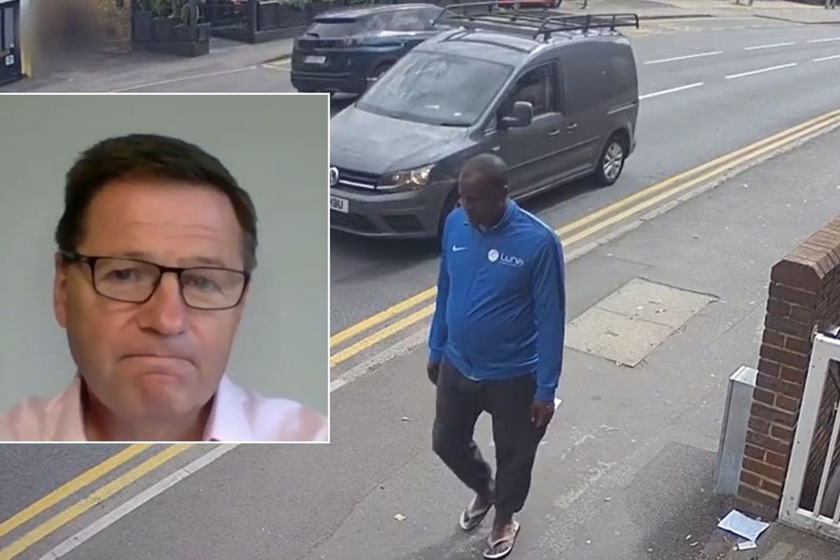Ex-Met detective says the migrant manhunt has been hindered by London’s cameras: 'It takes hour!'