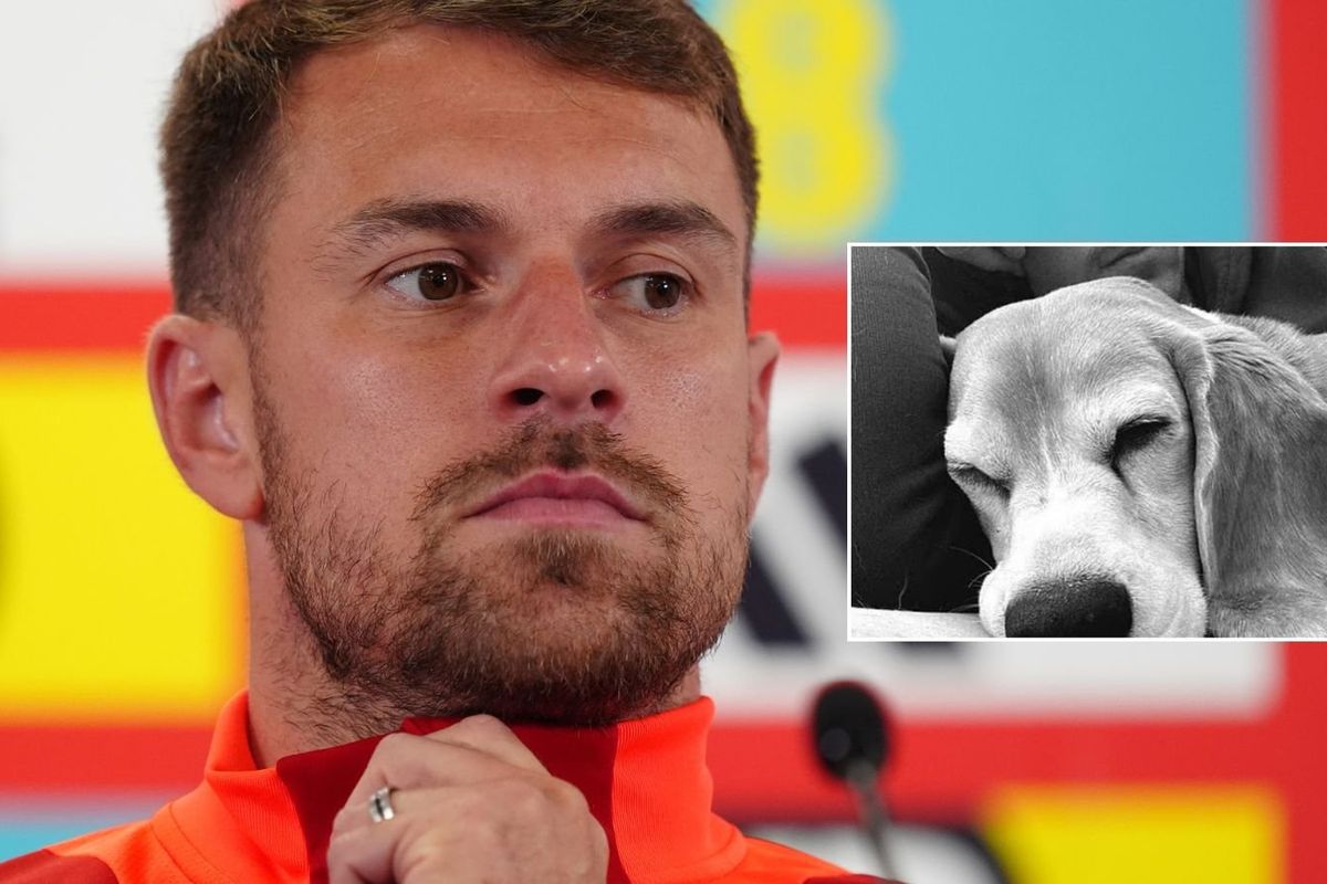 Former Premier League star posts heartbreaking update despite offering huge sum for missing dog