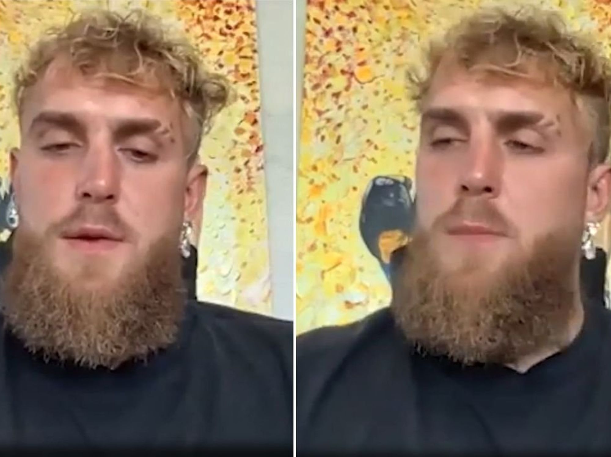 Jake Paul praises Donald Trump's presidency and asks fans to pledge support: 'The nation is healing'