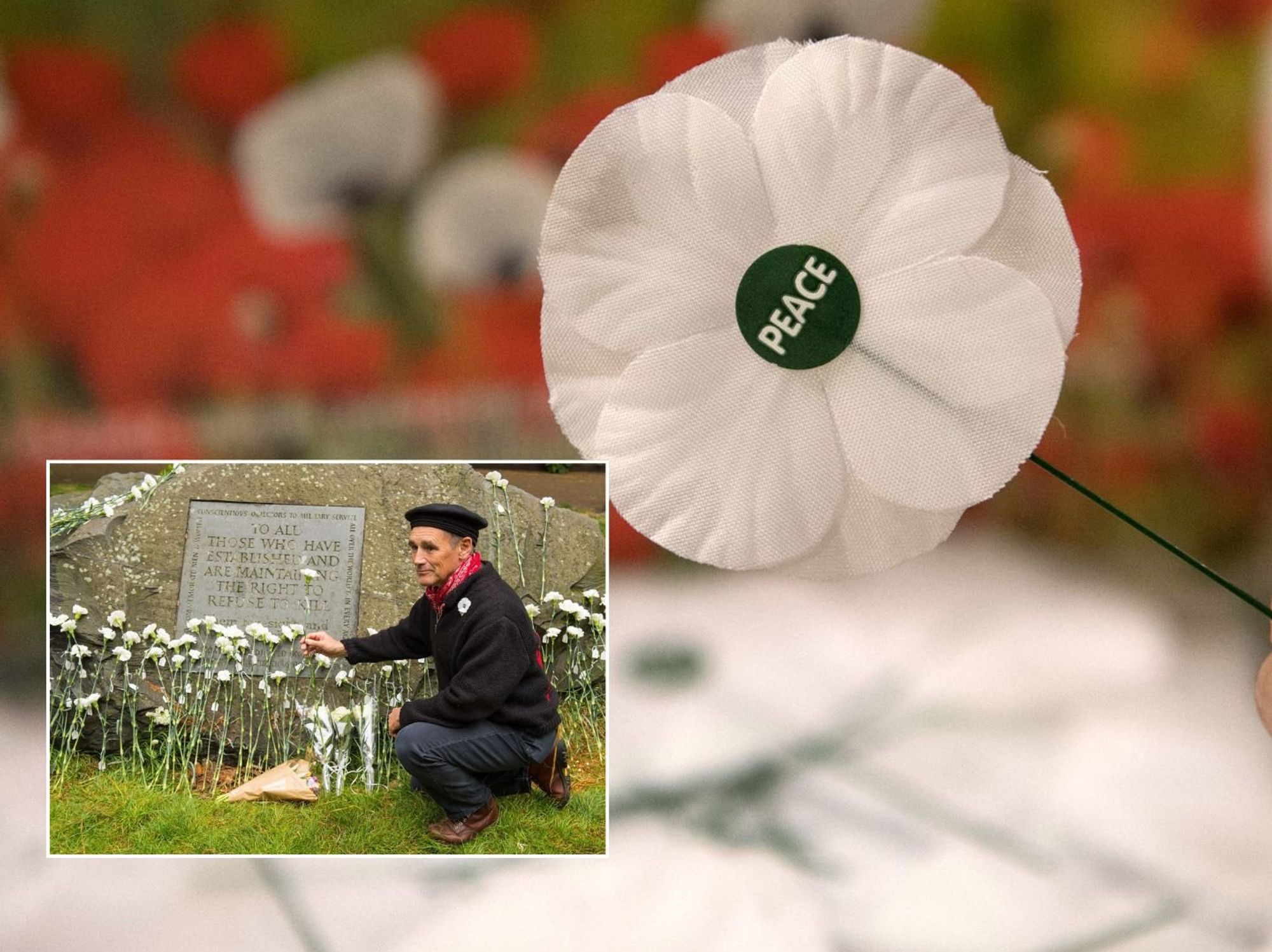 White poppy campaign to 'decolonise' Remembrance Day launched and remember those 'killed or impri...