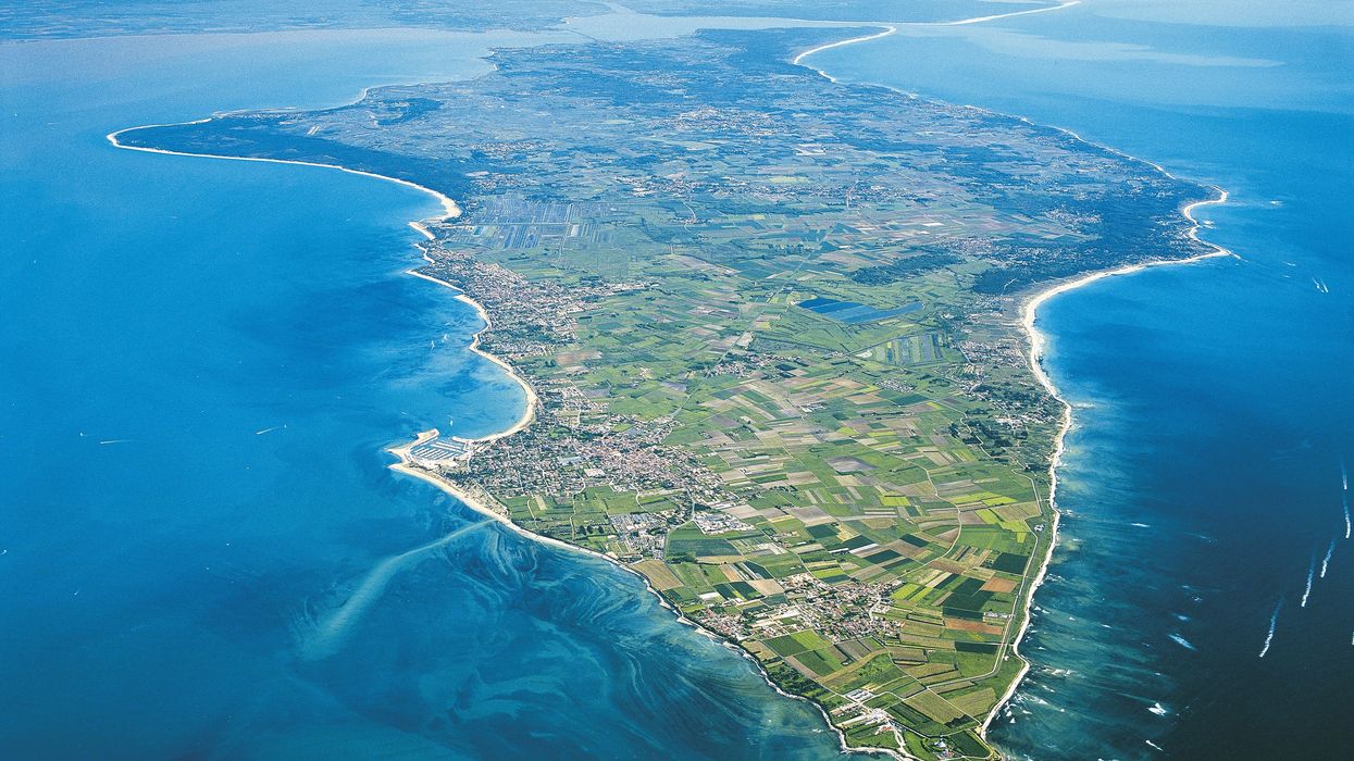 Car ploughs into crowd in France as driver 'shouts Allahu Akbar' and leaves at least 10 people injured