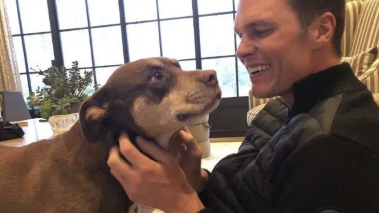 NFL legend Tom Brady insists he has cloned his dog