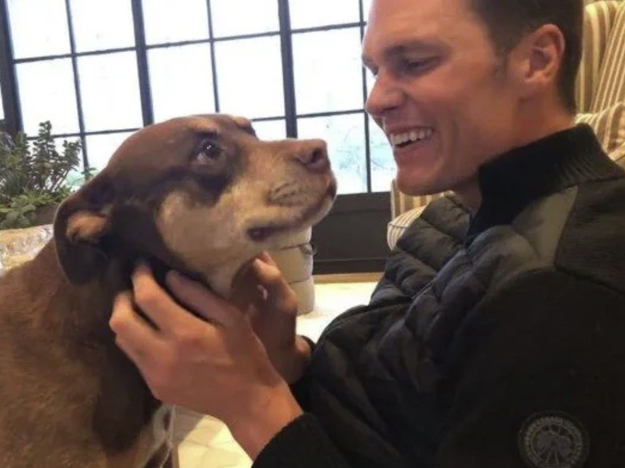NFL legend Tom Brady insists he has cloned his dog