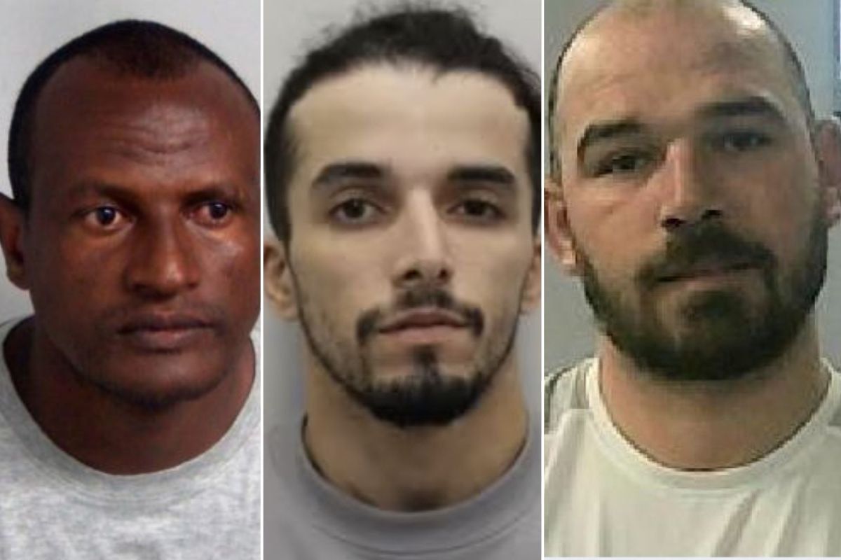 Police launch third manhunt after convicted fraudster accidentally released on same day as he was sentenced