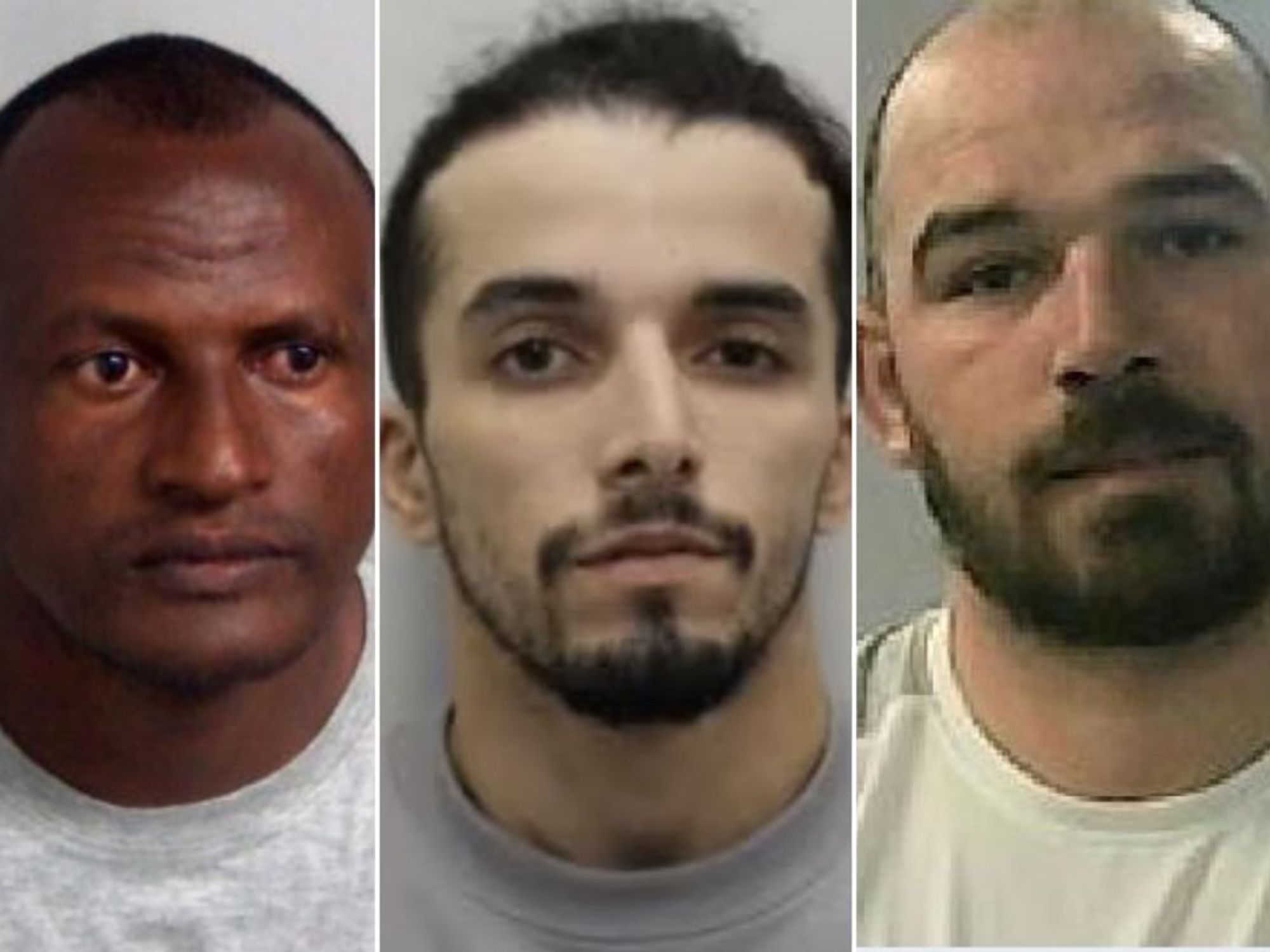 Police launch third manhunt after convicted fraudster accidentally released on same day as he was...