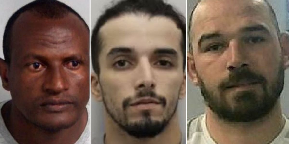Police launch THIRD MANHUNT after convicted fraudster accidentally released on same day as he was sentenced Police launch THIRD MANHUNT after convicted fraudster accidentally released on same day as he was sentenced