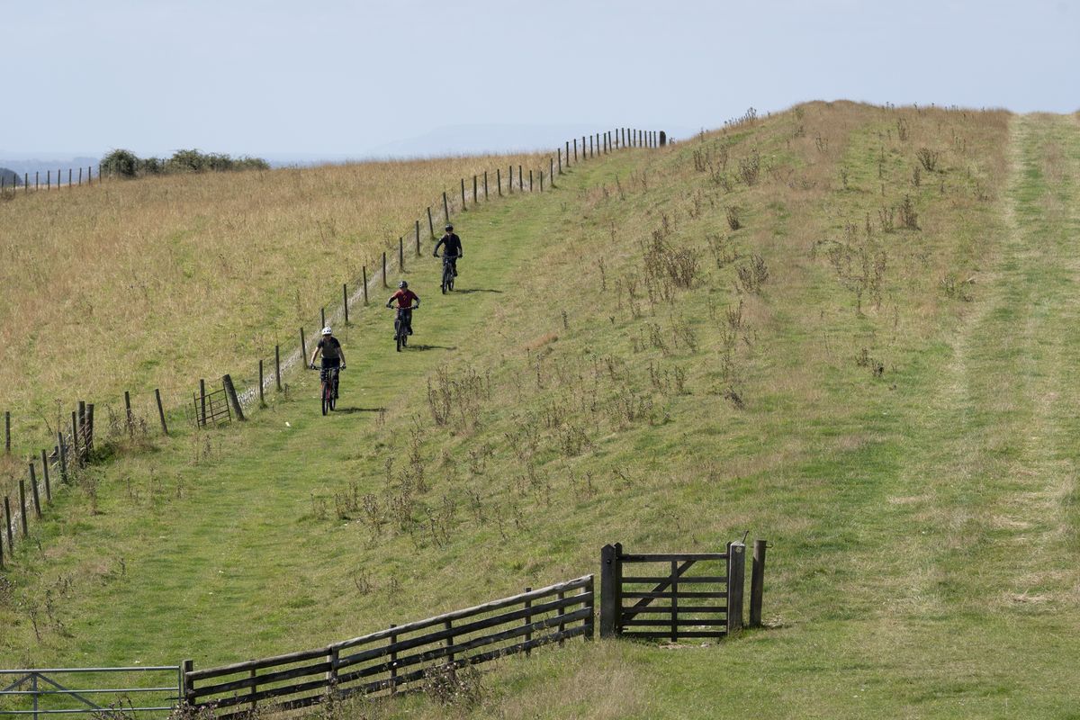 Archaeology breakthrough as nearly 185,000 miles of Roman roads mapped - almost DOUBLE previous estimates