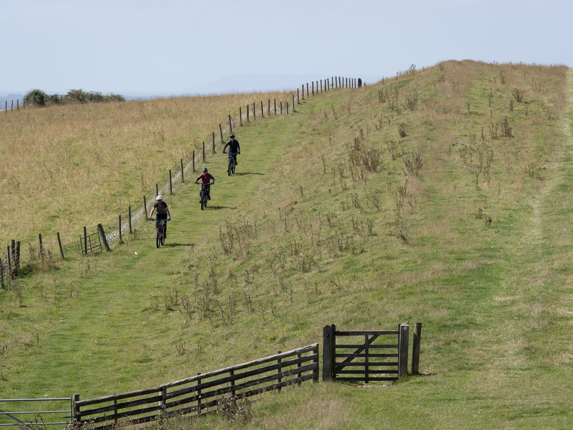 Archaeology breakthrough as nearly 185,000 miles of Roman roads mapped - almost DOUBLE previous estimates