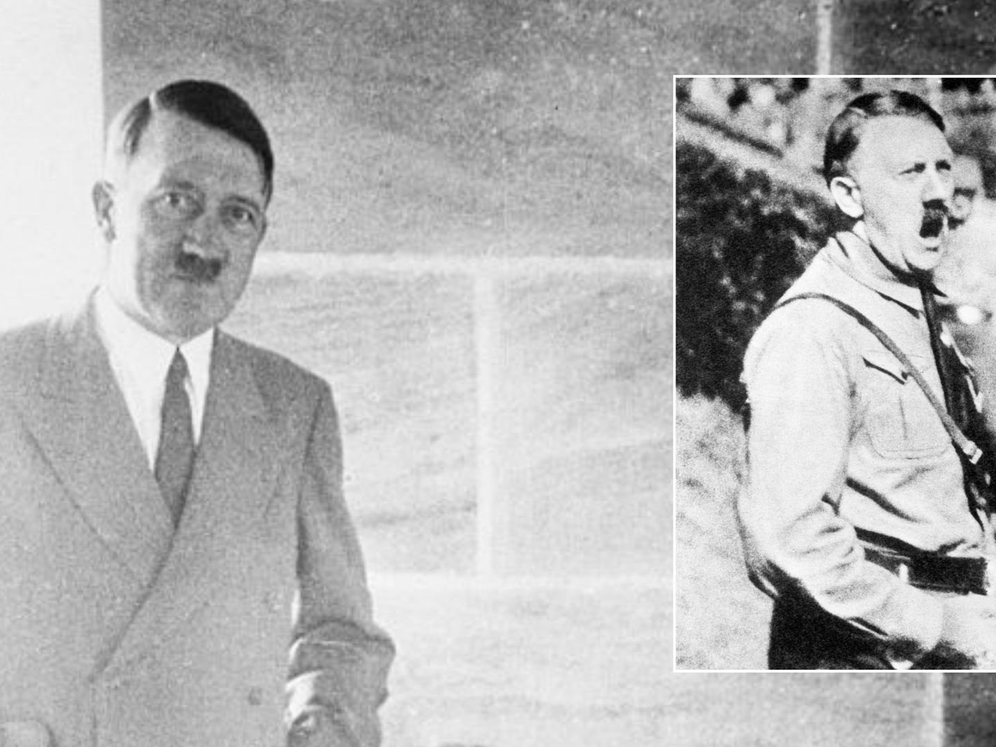 Adolf Hitler really did have only one testicle, astonishing new DNA proves