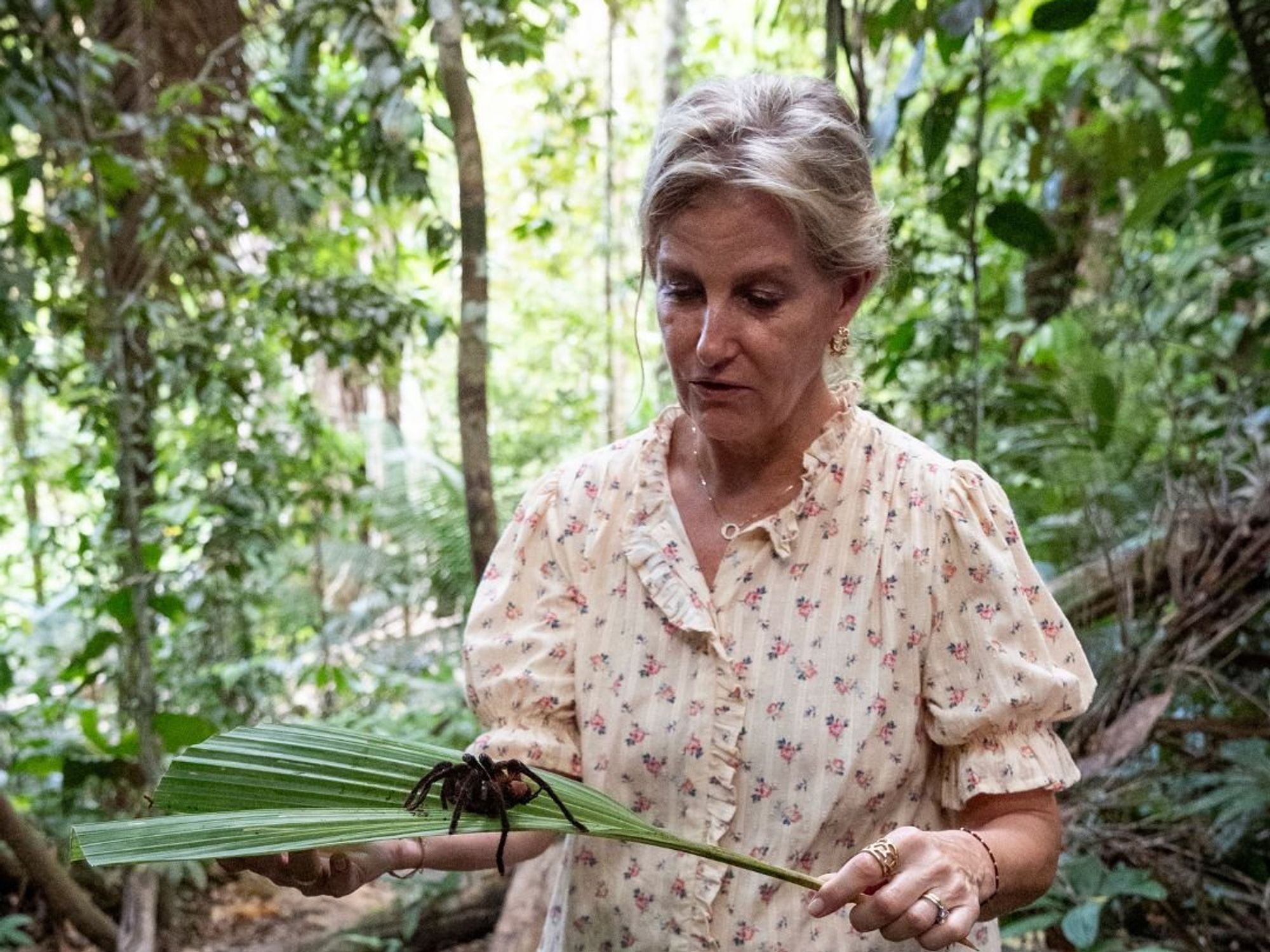 Duchess of Edinburgh holds biggest tarantula in the world as she braves nerves in Peru