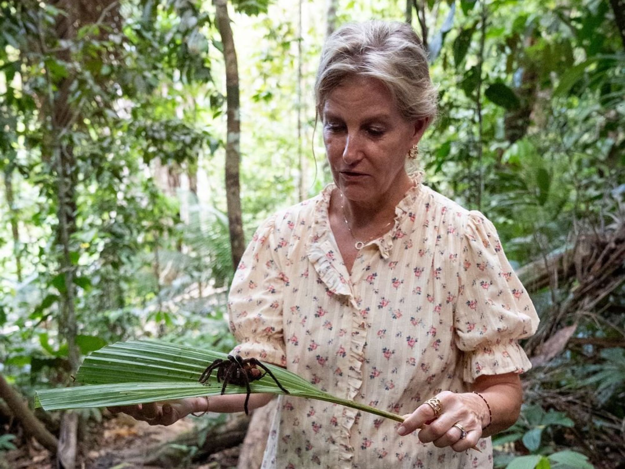 Duchess of Edinburgh holds biggest tarantula in the world as she braves nerves in Peru