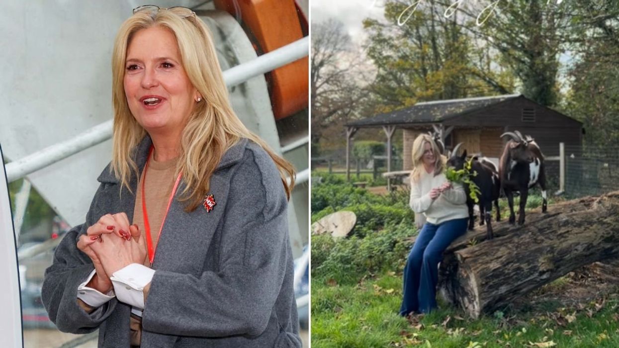 Penny Lancaster introduces 'secret’ family members with adorable post as fans gush over announcement