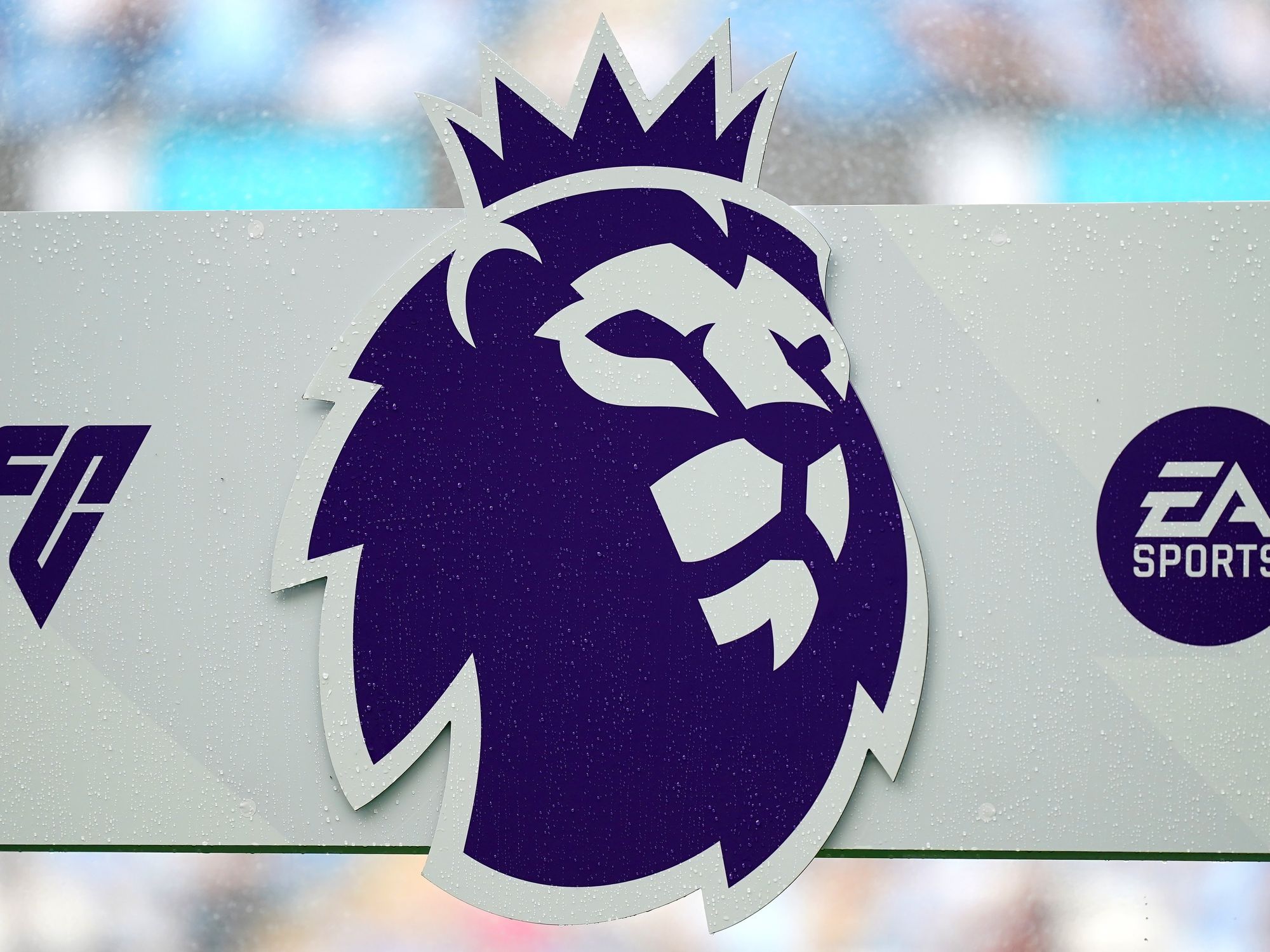 Former Premier League star arrested at barbecue