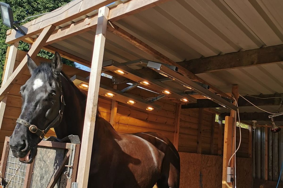 Neighbour row erupts after resident blames 'eyesore' shed for killing her hedge