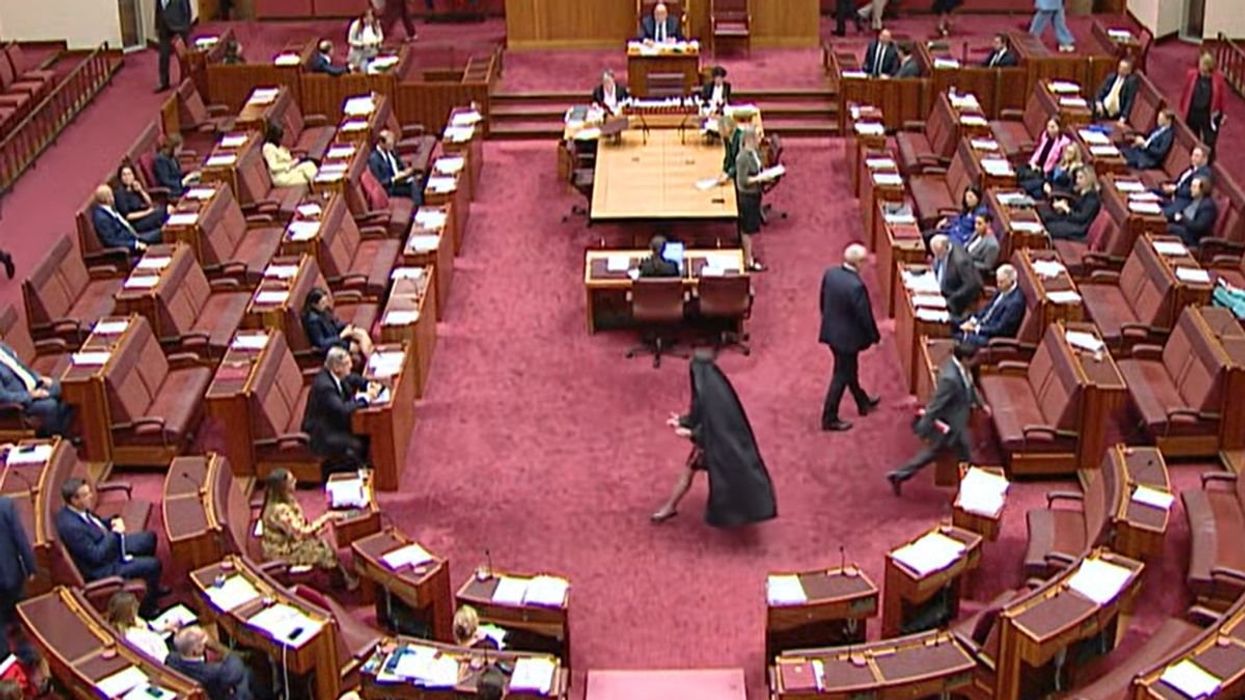 Watch the moment Pauline Hanson's burka protest sparks racism row and shuts down Australian Senate