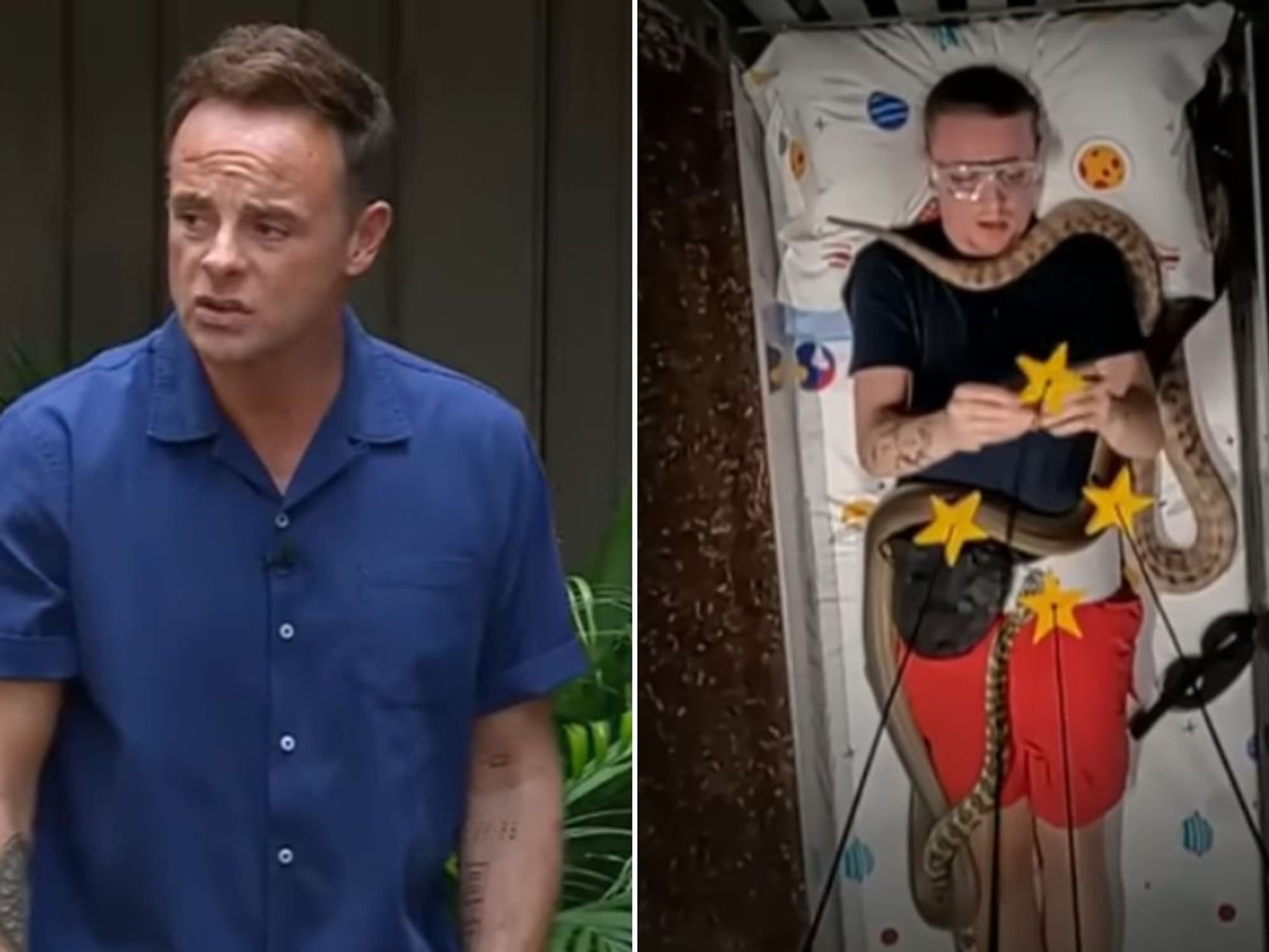 I'm A Celebrity fans issue demand over disappointing change to key feature: 'ITV need a re-think!'