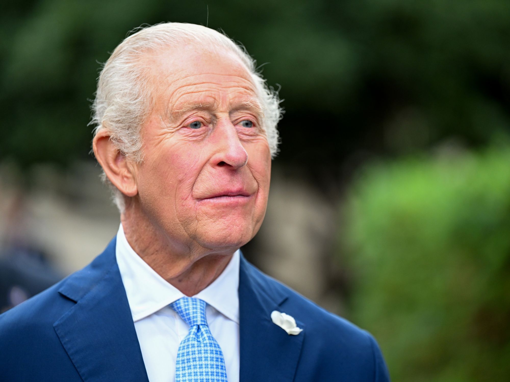 Royal Family ‘capitalising on new opportunity to build global fan base’