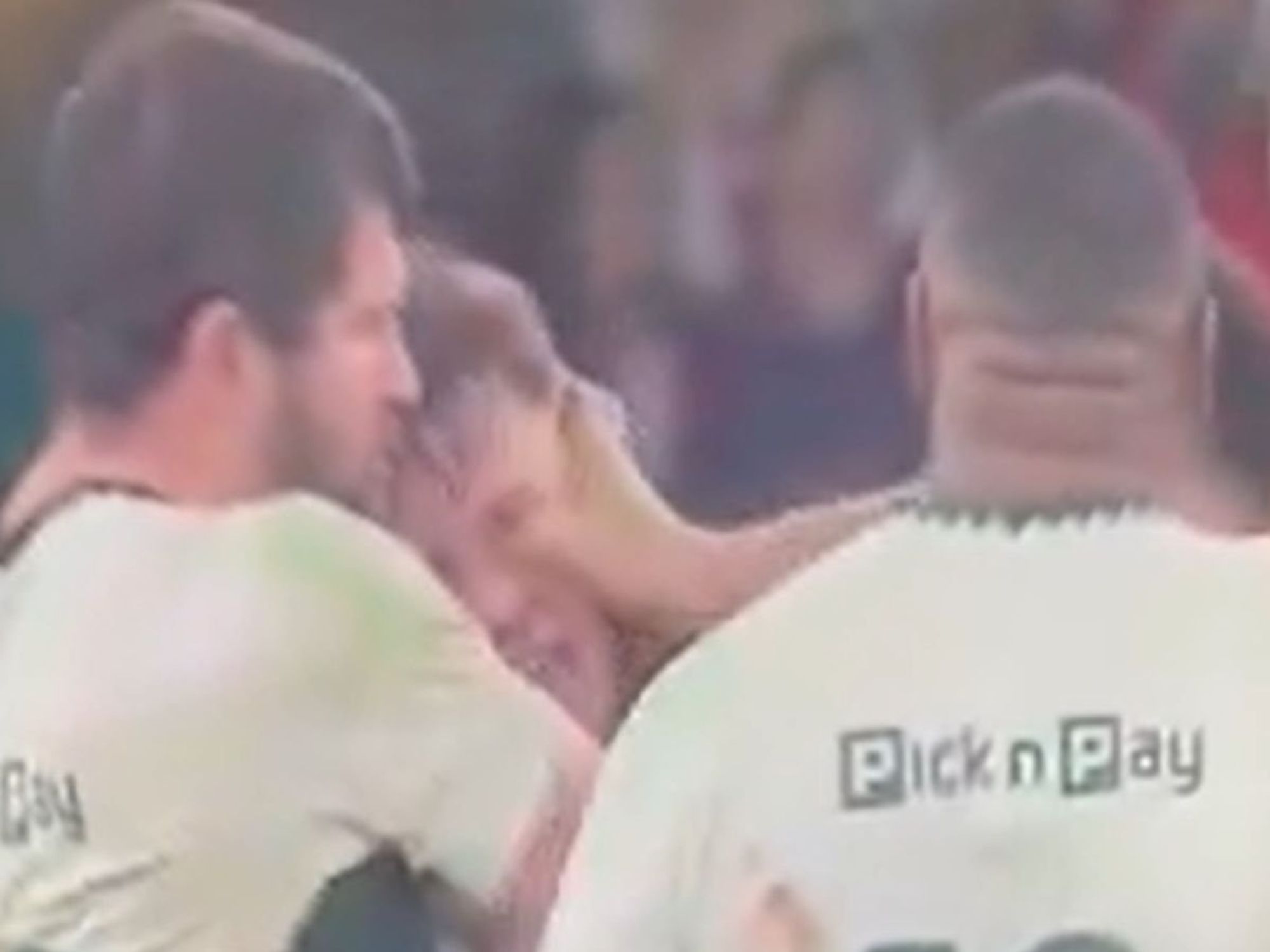 South Africa star facing huge ban after appalling eye gouge during Wales win