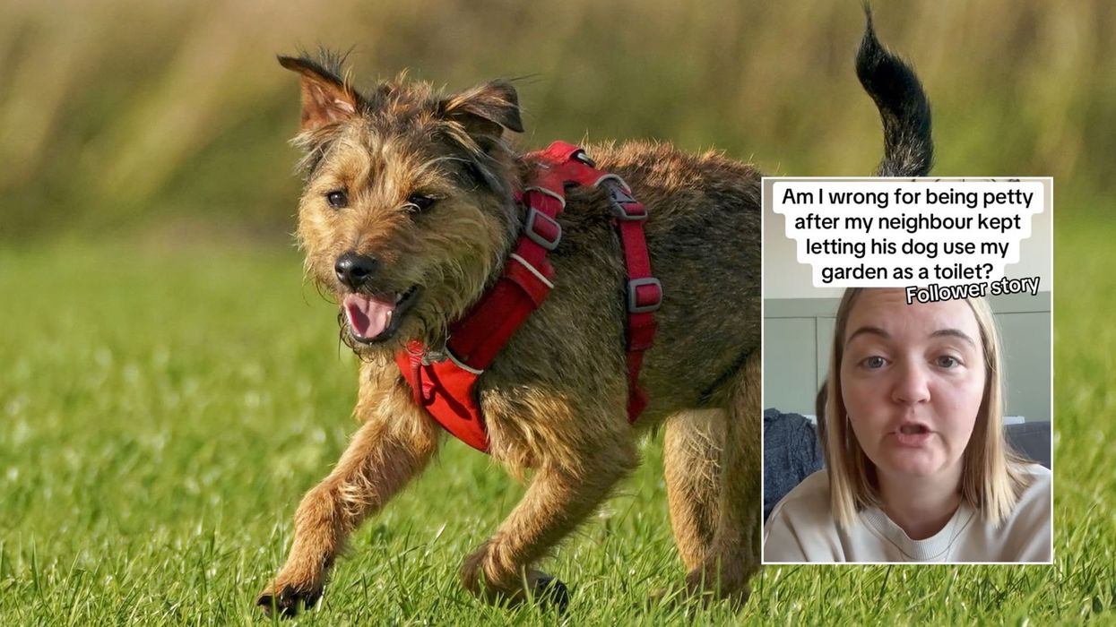 Neighbours left divided after woman names local resident following dog row