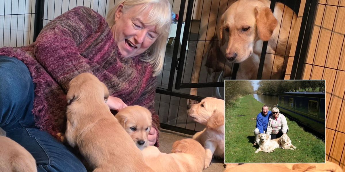 Welsh widow meets guide dog ‘grandpups’ continuing late husband’s legacy Welsh widow meets guide dog ‘grandpups’ continuing late husband’s legacy