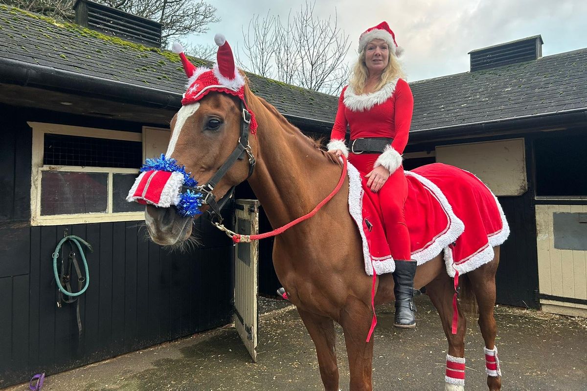 Royal fans can purchase stake in racehorse honouring late Queen to fund Brain Tumour research