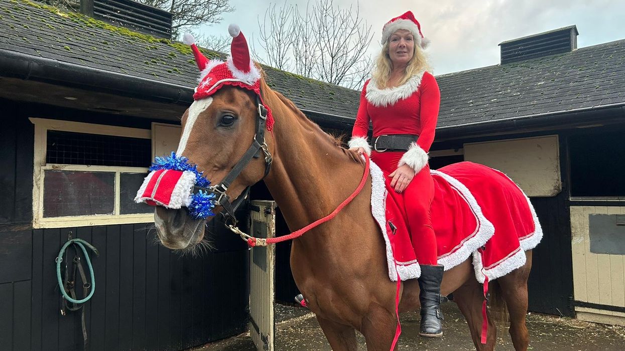 Royal fans can purchase stake in racehorse honouring late Queen to fund Brain Tumour research