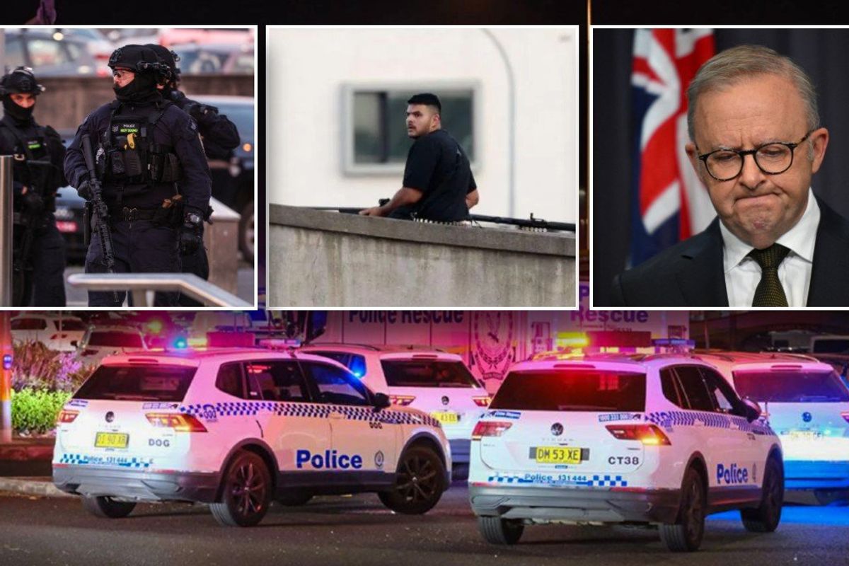 Bondi Beach shooting: Police confirm 16 dead and 40 injured after Hanukkah terrorist attack